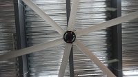 7.3m Giant Fans Factory: How Massive Industrial Blades Are Made