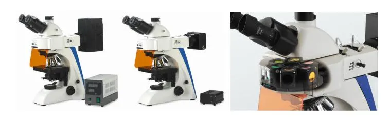 Bestscope BS-2063b Biological Microscope for Laboratory