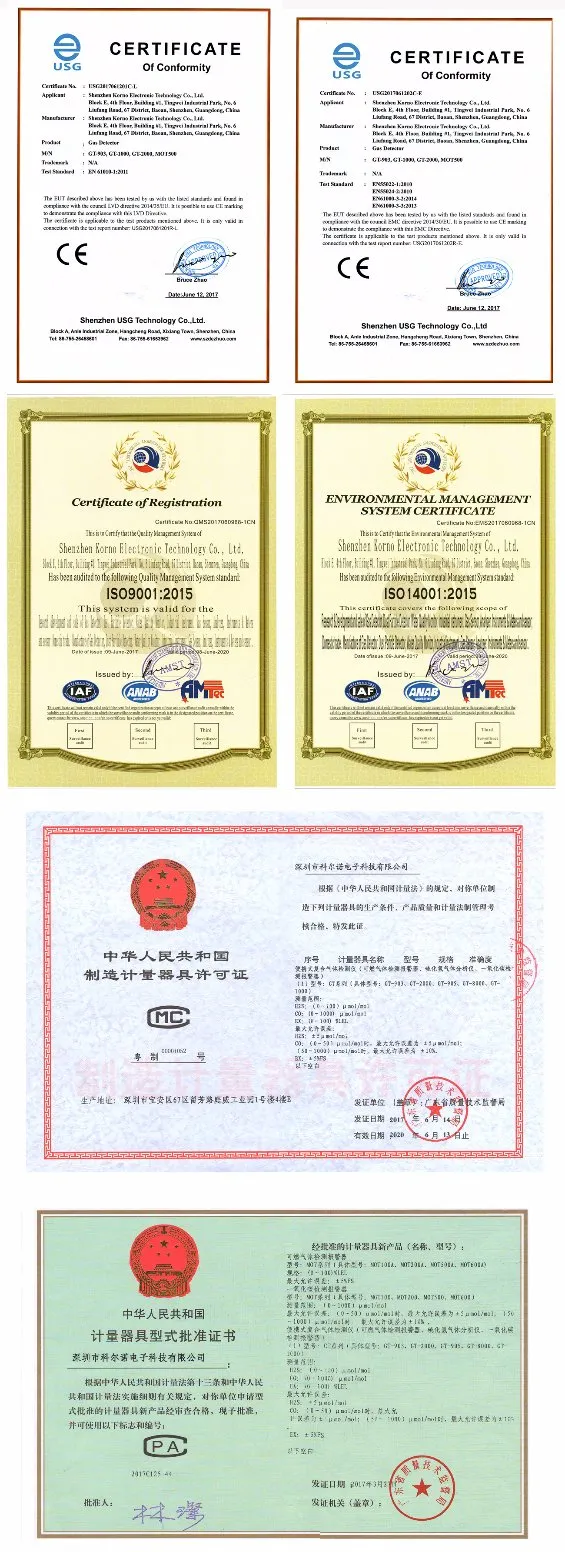 Hand-Hold C2h4 Gas Detector Ethylene Gas Detector with Pumping