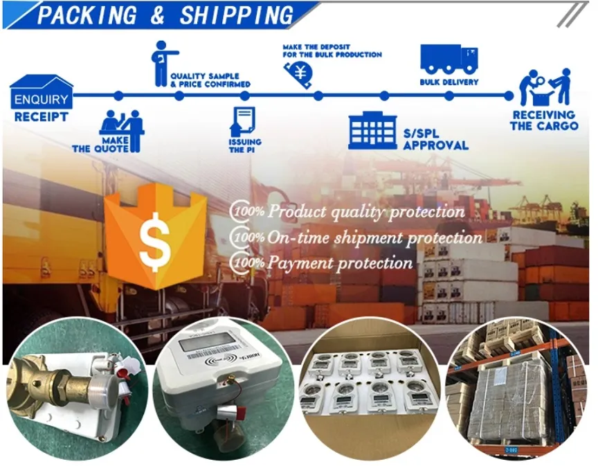 Horizontal Detachable Woltman Water Meter