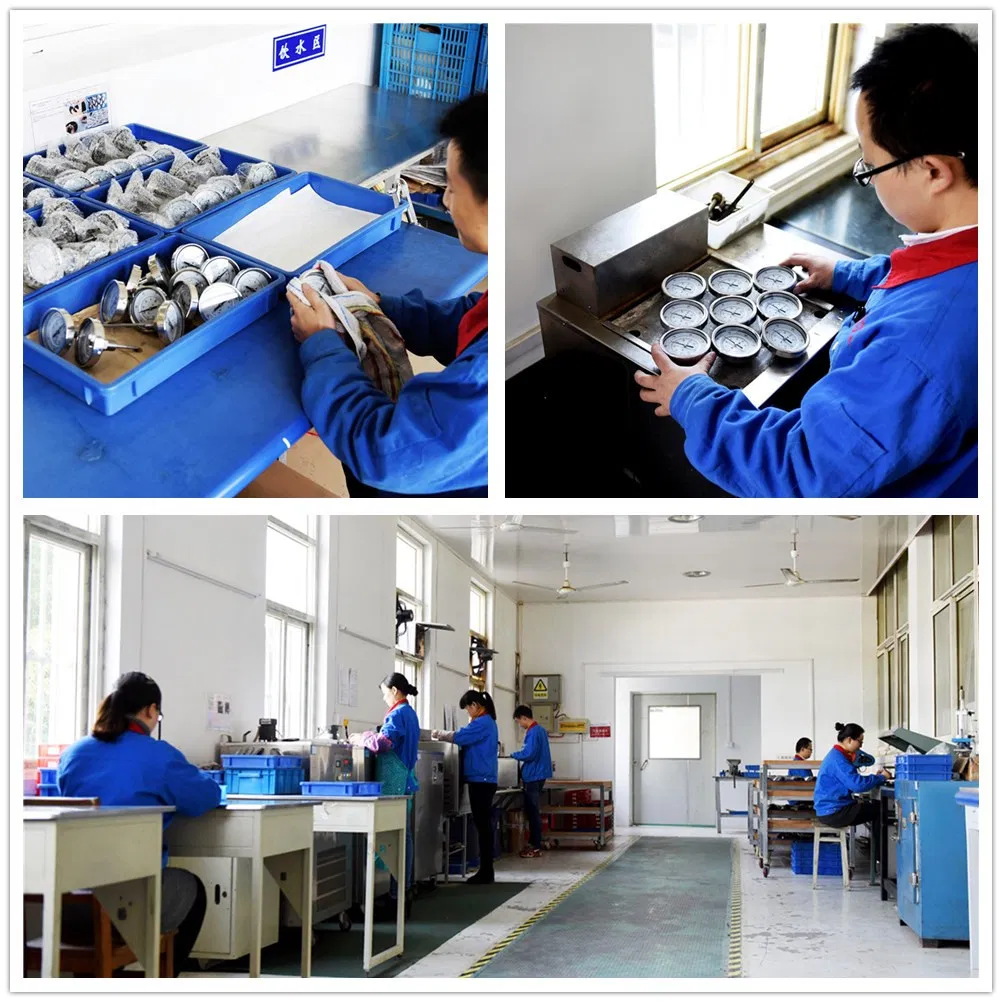 Pressure Gauge En 837-1/Air Manometer/Water Pressure Gauge