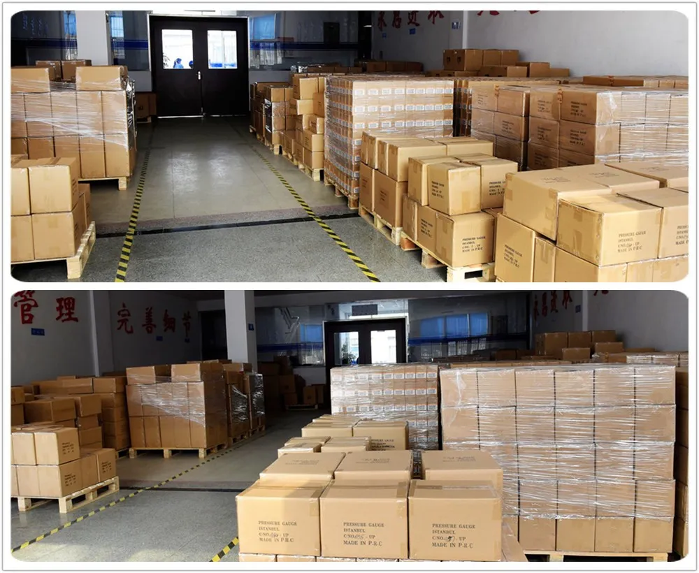 Red-Pointer Pressure Gauge-Pressure Gauge with Alerm-Pressure Gauge