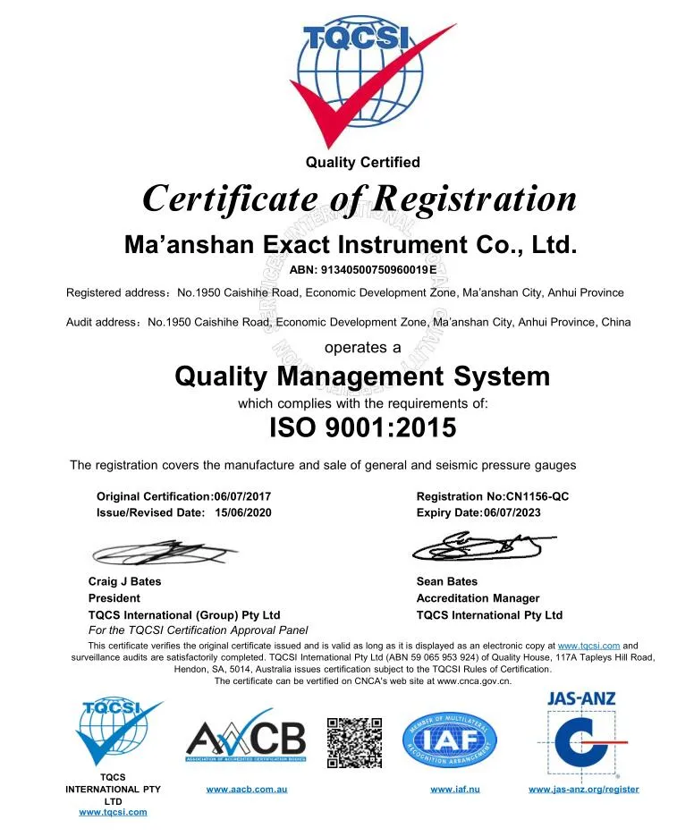 Red-Pointer Pressure Gauge-Pressure Gauge with Alerm-Pressure Gauge